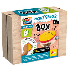 LISCIANI - MONTESSORI BOX HEARING