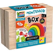 LISCIANI - MONTESSORI BOX SIGHT